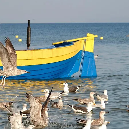 Mierzeja - Park Ii, Medium, 500 M Od Plazy, Bezplatny Meleks * Stegna (Pomerania)