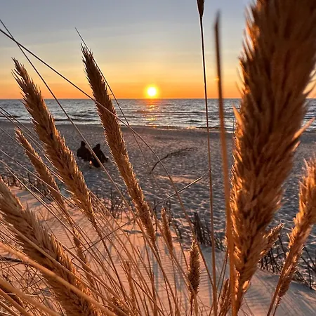 Mierzeja - Park Ii, Medium, 500 M Od Plazy, Bezplatny Meleks *