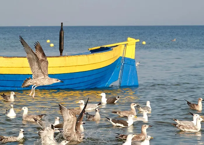 Mierzeja - Park Ii, Z Jedna Sypialnia, 500 M Od Plazy, Bezplatny Meleks * Stegna (Pomerania)