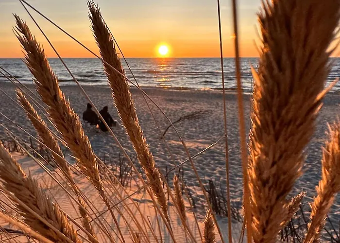 Mierzeja - Park Ii, Z Jedna Sypialnia, 500 M Od Plazy, Bezplatny Meleks *